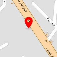 خدمات فنی چاپلین