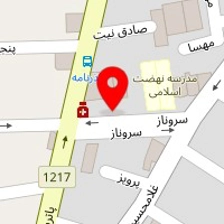 شرکت توسعه خدمات الکترونیکی آدونیس