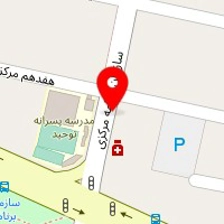 شرکت ارتباط الکترونیک شناسا
