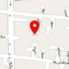 دکتر سعید فریدفر