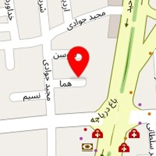 دکتر پیمان ترکی