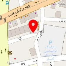 دکتر یاسمن صادقی