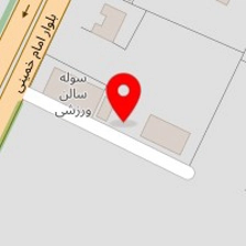 دکتر احمد احمدی