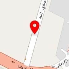 دکتر آنیتا مدیر روستا