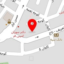 دکتر نگین سمیعی