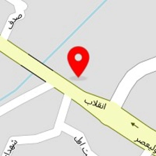 فروشگاه دزدگیرمدرن