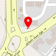 دکتر علی پاکزاد