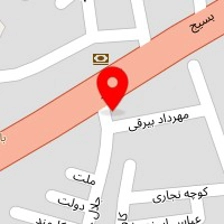 الکتریکی شجاع