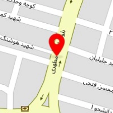 خدمات کامپیوتری پدیده