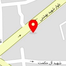 الکتروپژمان