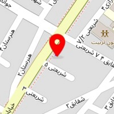 دزدگیر صادقی