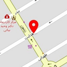الکتریکی برادران عامری
