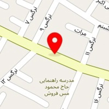 فروشگاه رضوانی   دلند الکتریک