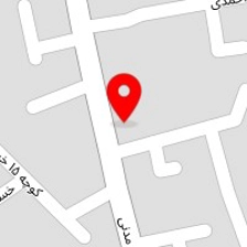 الکترونور کاشانی