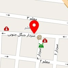 دکتر آمنه خرازی نژاد