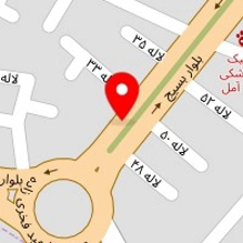فروشگاه کارزین