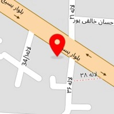 دزدگیر رضا