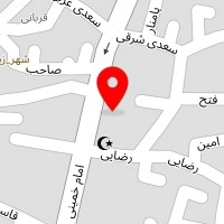 زانیس الکترونیک