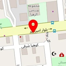 الکتریکی امیر