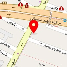 الکتریکی دلنوازان