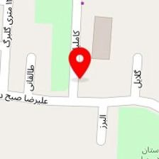 الکتریکی گلزار