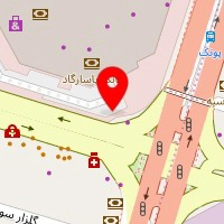 ایرانیان فن