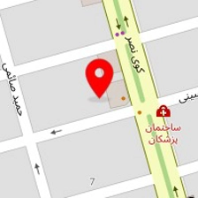 میکروالکترونیک ایران