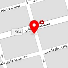 گیشا الکتریک