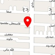 الکترو نوین