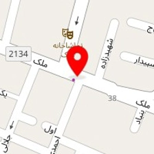الکترونیک کاران