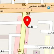 فرانور الکتریک