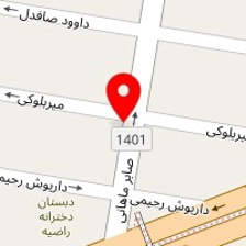 الکترو گاز تکنیک