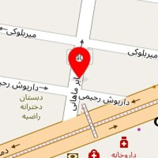 الکتریکی میثم