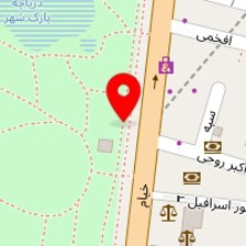 فوکوس نگار