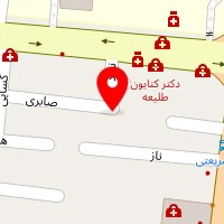 دکتر نصرت نوربخش