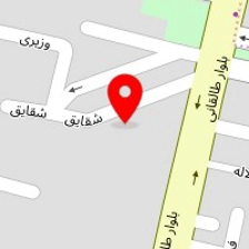 سالن میکروبلیدینگ فرشته بانو