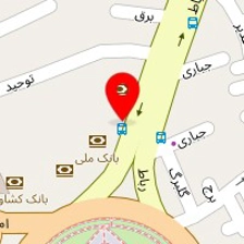 دکتر پرنیان بزرگ زاد