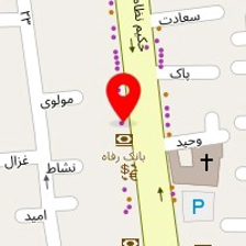دکتر مهشاد رفیع زاده