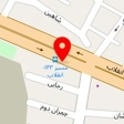نئون سلیکون خودرو
