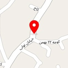 الکتریکی قربانی