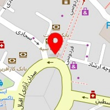 دکتر ایلناز حاج همتی