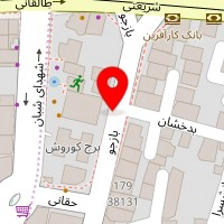 دکتر رضا صالحی