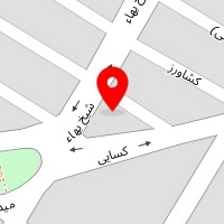 دکتر عبدالامیر سلیمانی
