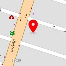 دکتر رویا شفیعی