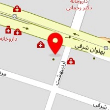 دکتر مریم امین پور
