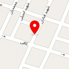 دکتر هادی ویسی