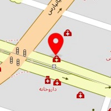 دکتر مهرناز امینی