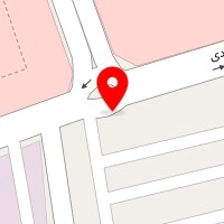 دکتر مهدی امیرنیا