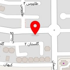 سالن تاتو راضی