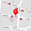 دکتر نفیسه دستمالچی